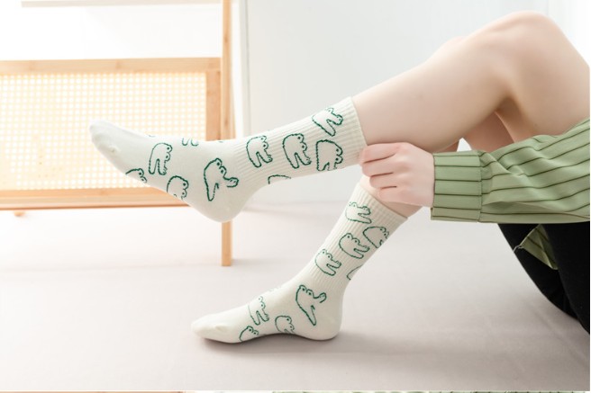 ถุงเท้าแฟชั่นสไตล์ฮาราจูกุ ฮิป - Embroidery On Socks บทวิจารณ์และราคา
